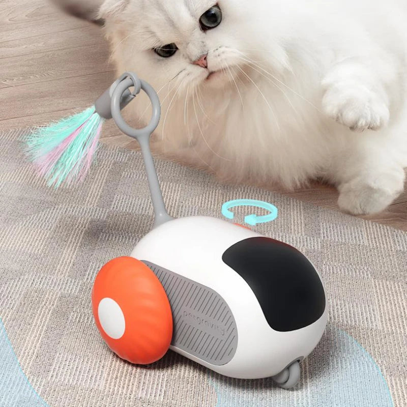 Remote Control Mouse Toy