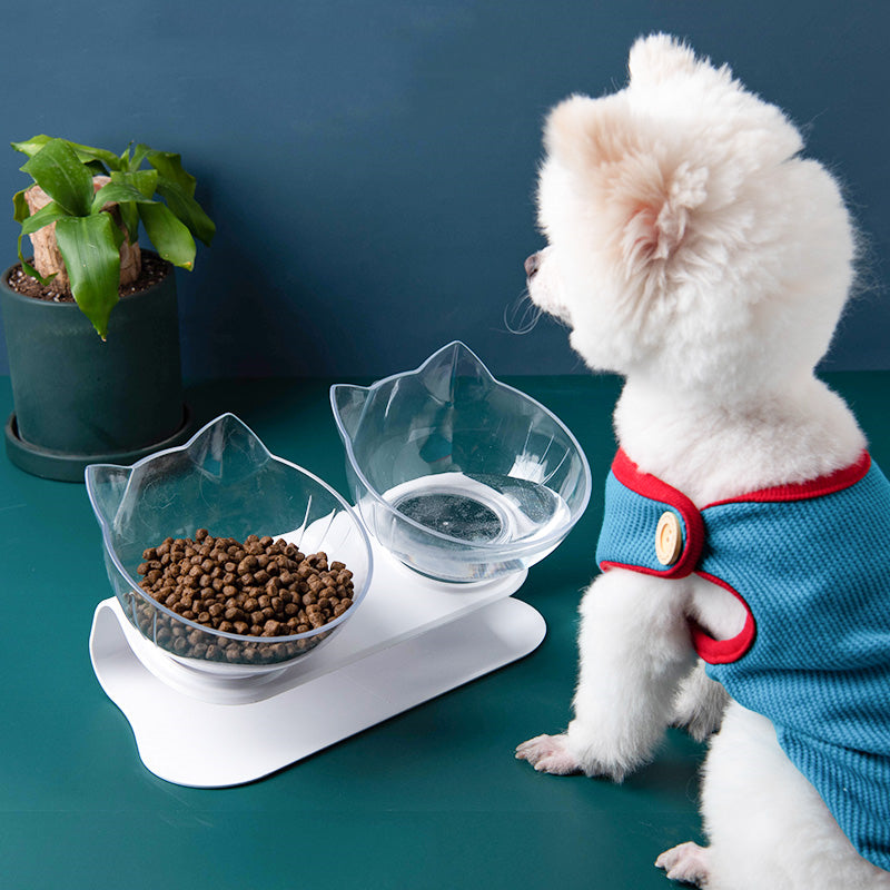 Inclined Food Bowl